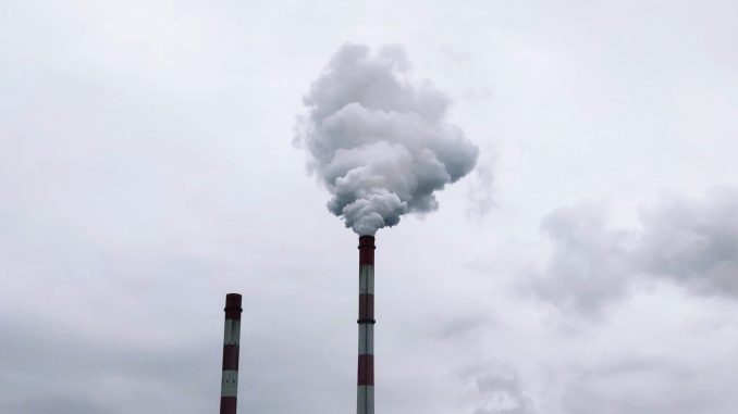 Krise bei den Online-Retouren: Technologie kann die Auswirkungen auf die Umwelt abmildern